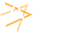 Ace White Logo